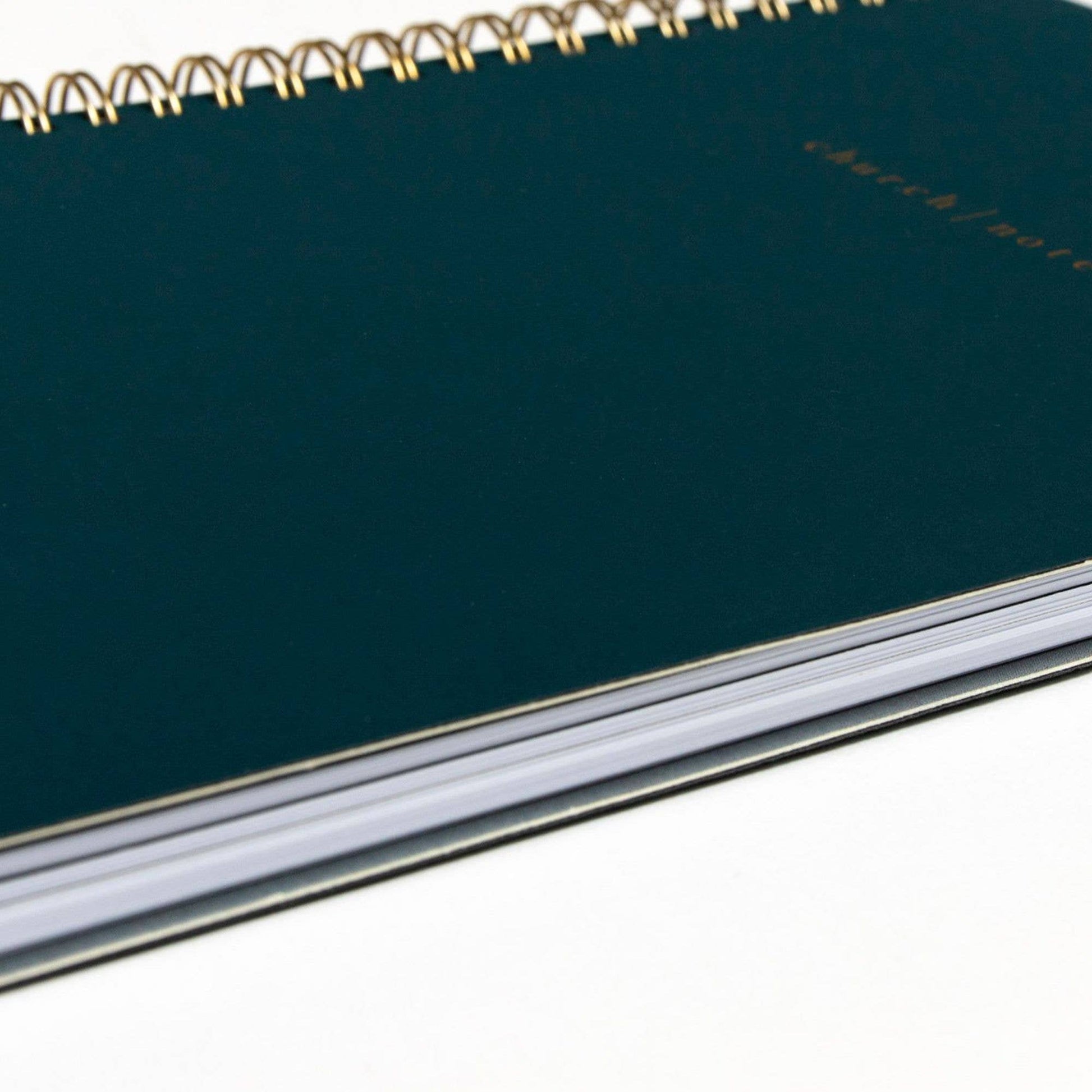 Green notebook with gold wire binding on a white background