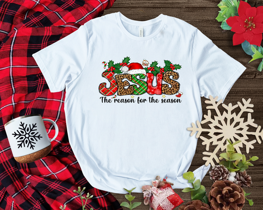 Jesus is the Reason T-Shirt